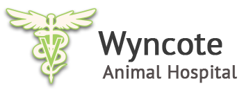 Wyncote Animal Hospital